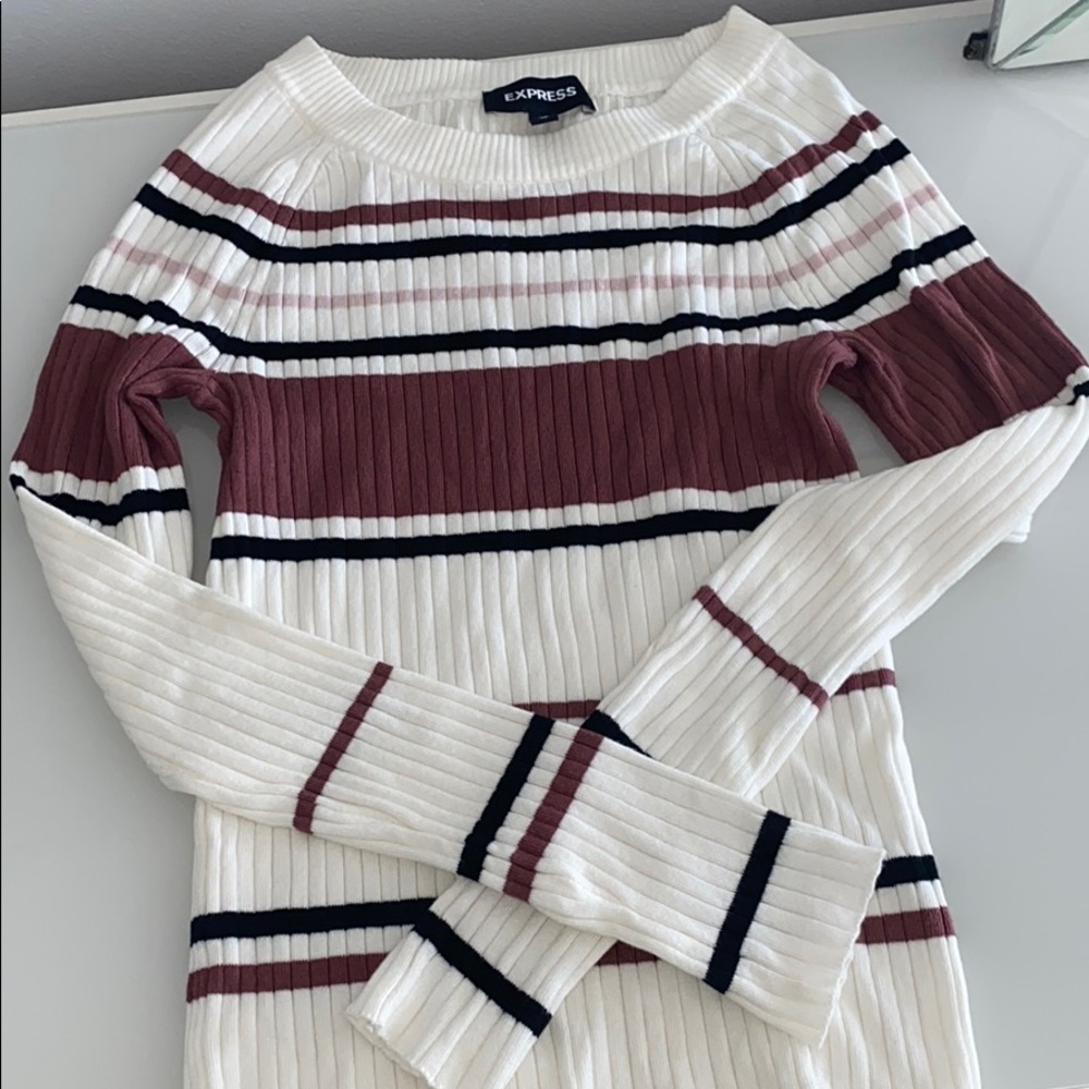 EXPRESS sweater!